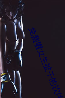 免费看女生被干的软(ruǎn)件