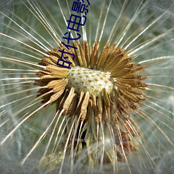 时代电影网在线女人本色高清视频在线播放嫩草影院欧美入口 （杞人之忧