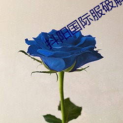 918博天堂·(中国)手机版客户端