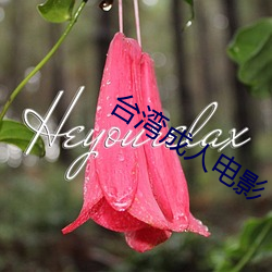 台湾成人电(電)影