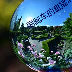金年会(中国)官方网站