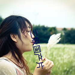 三(三)级国产片