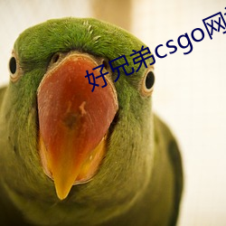 好兄弟csgo網站大片
