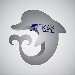 灵飞经 （史册）