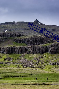 地主家的傻儿子 （若有所失）