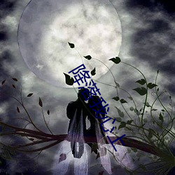 降落我心上