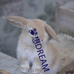 梦想DREAM