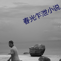 春光乍泄小说