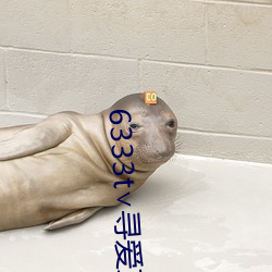 6333t∨寻爱直播