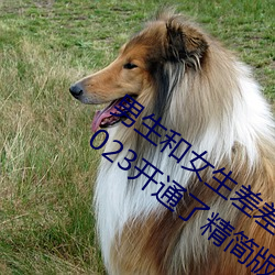 男生(生)和女生差(差)差差(差)很疼(疼)app大全(全)免费下载2023开(開)通了精简版(版)本(本)