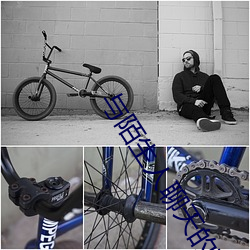 与陌生人聊天的软件