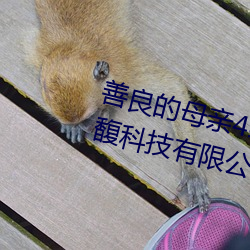 善良的母亲4线在完整视频上海森馥科技有限公司