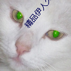 精品伊人久久久大香線蕉