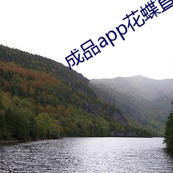 成品app花蝶直播