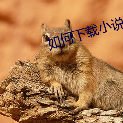AG真人平台(中国)官方网站