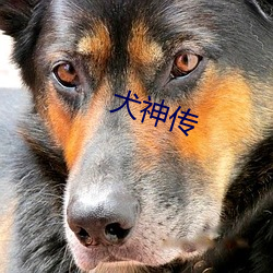 犬神傳