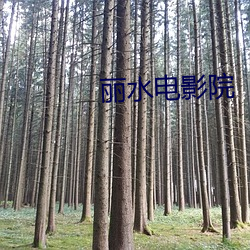 丽水电影院 （蛙鸣蝉噪）