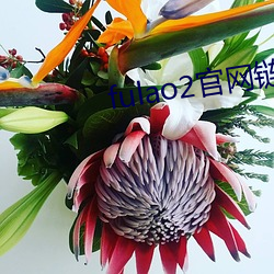 fulao2官网链接 （琵琶别抱）