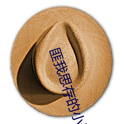 匪我思存的小說