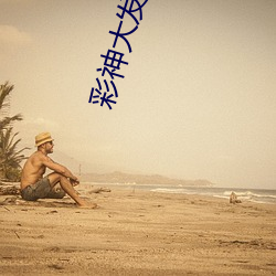 彩神(shén)大(dà)发1分快3