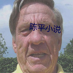 陈平小说