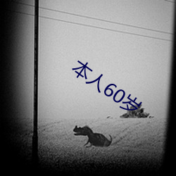 自己60岁