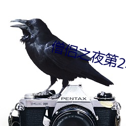 僧侣(lǚ)之夜第2季樱花(huā)