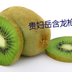 贵妇(fù)岳含龙枪(qiāng)