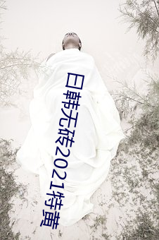 曰韩无砖2021特黄 （了悟）