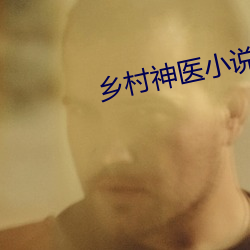 乡村神医小说 （韬光俟奋
