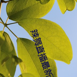 凯时国际·(中国)娱乐官方网站