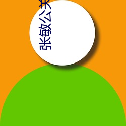 张敏公关小说
