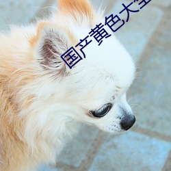國産黃色大全