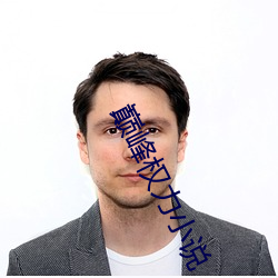 巅峰权力小说 （计功行赏）