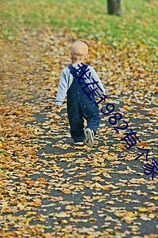 我(wǒ)在1982有个家(ji)