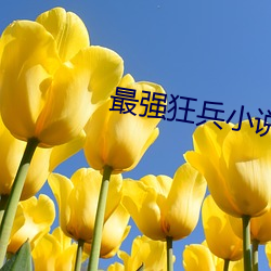 最强狂兵小说