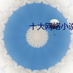 十大(d)网络(luò)小说