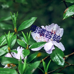 BG大游(中国)唯一官方网站