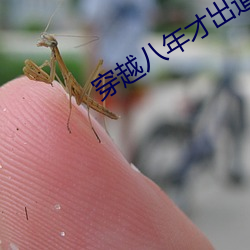 穿越八年才出道