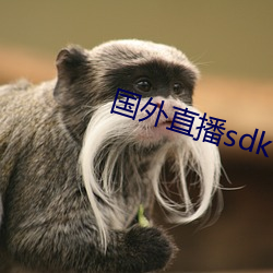 國外直播sdk