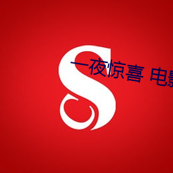 一夜惊喜 电影