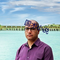 國術小說