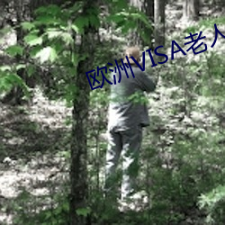 欧洲VISA老人