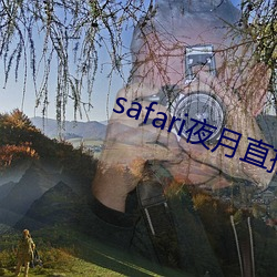 safari夜月(月)直播(播)