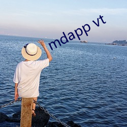 mdapp vt