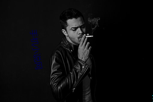 手机(機)小说网