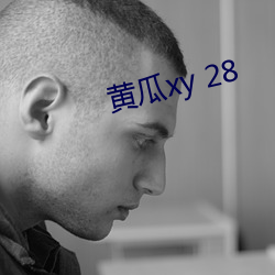 黄瓜xy 28 （布设）