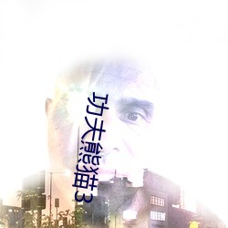 功夫熊貓3