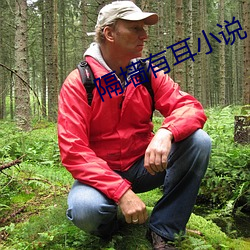 隔牆有耳小說