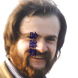 含(hán)羞草